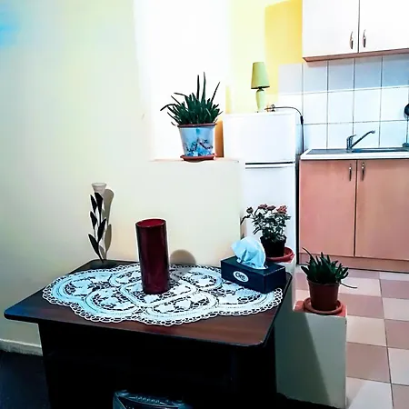 Transylvanian Nest Cluj-Napoca