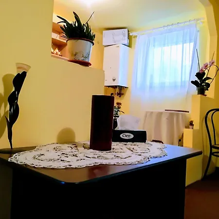 Lägenhet Transylvanian Nest