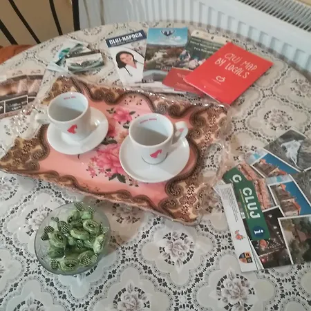 Transylvanian Nest Lägenhet